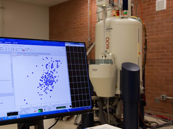 600 NMR with Data in MSC