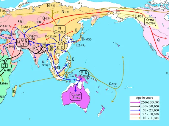 Y-DNA Migration Map 