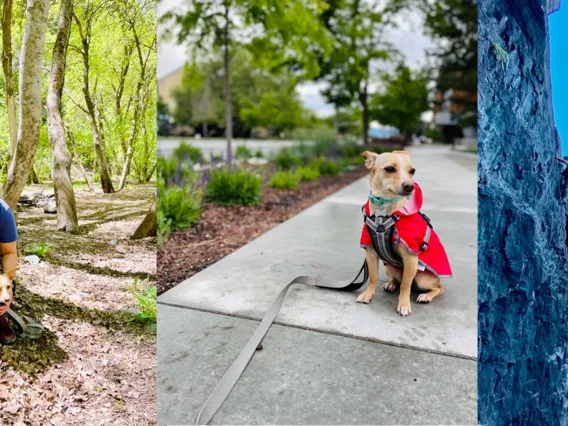 Beverly with her dog and rock climbing