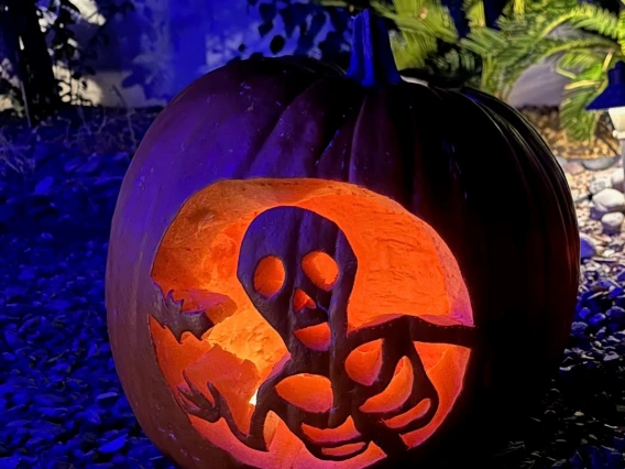 Skeleton carved pumpkin