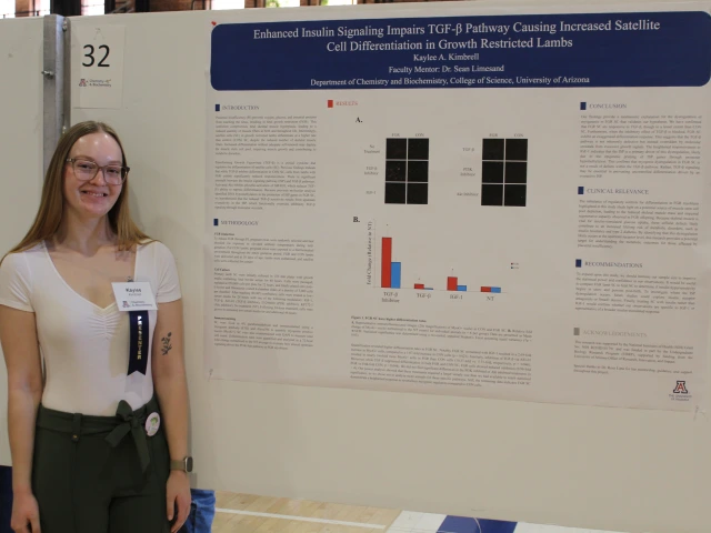 Photos from 2026 Poster Fair