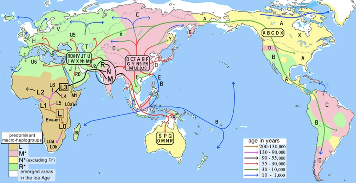 Mt-DNA Migration Map