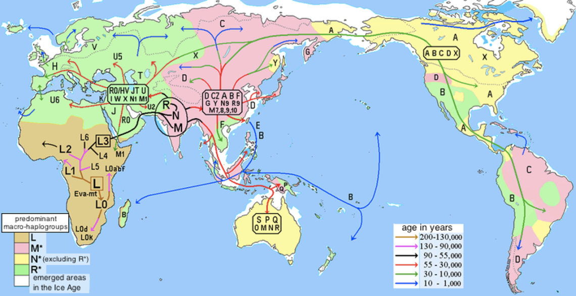 Mt-DNA Migration Map