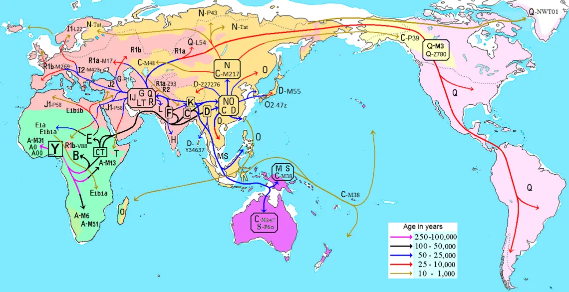 Y-DNA Migration Map 