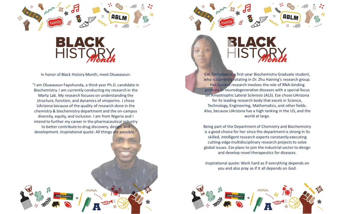 Black History Month stories for Oluwaseun Fapohunda and Eze Tochukwu