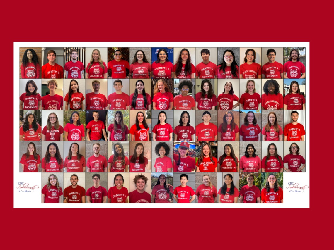 2024 CBC student ambassador pictures in a collage