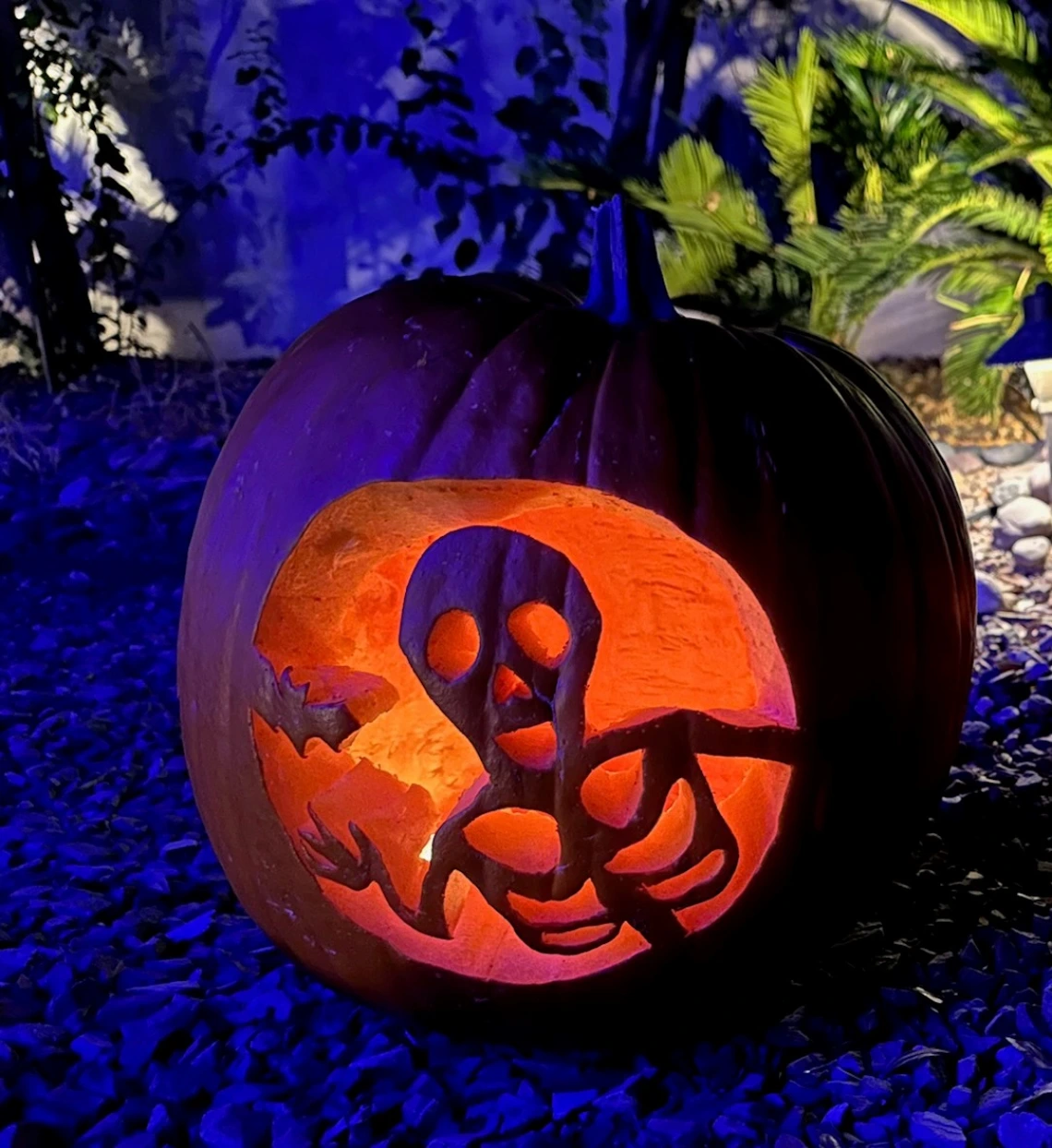 Skeleton carved pumpkin