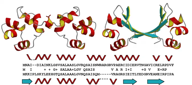 NMR and X-ray crystallography