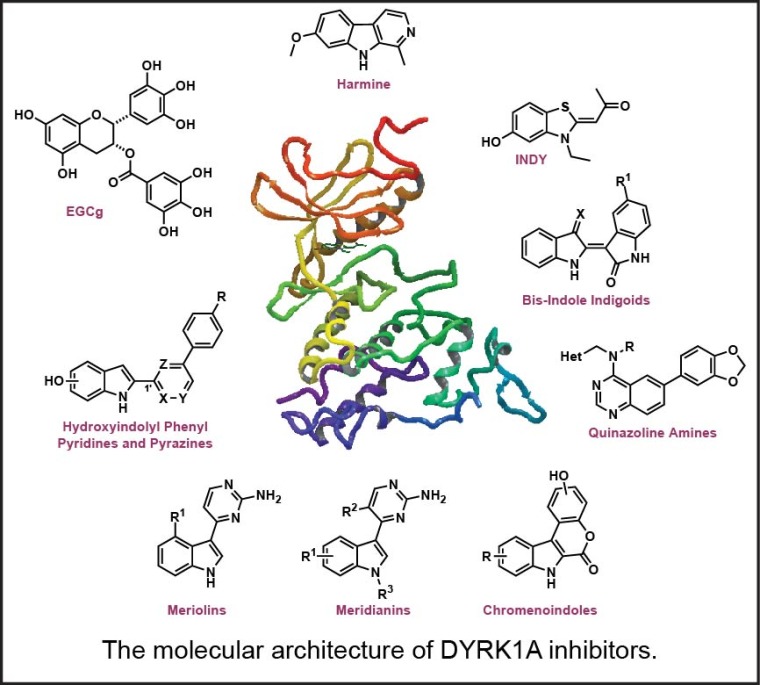 Molecular architecture of DYRK1A inhibitors