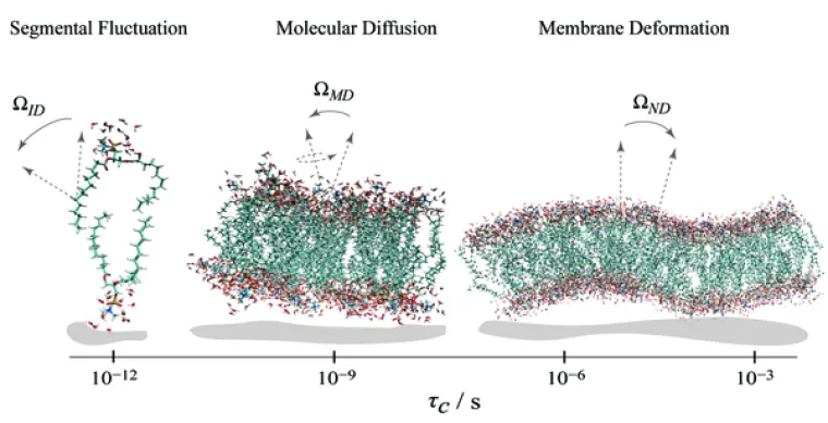 Image of Solid-state NMR relaxation 