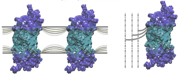 Image of Flexible surface model 