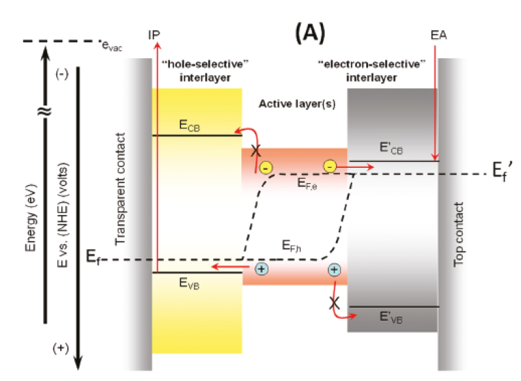 illustration Selective Interlayers and Contacs in Organic Photovoltaic Cells