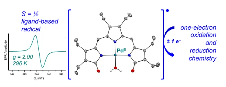 one-electron oxidation and reduction chemistry