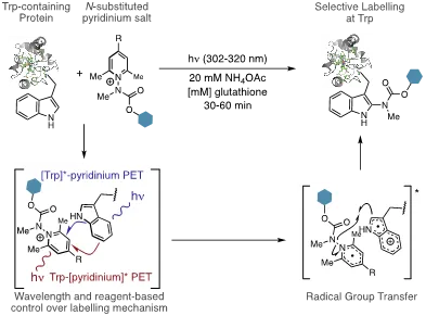 Dr. Taylor Research image