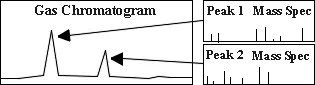 Chromatogram showing peaks which result from separation of compounds traveling through a GC column.