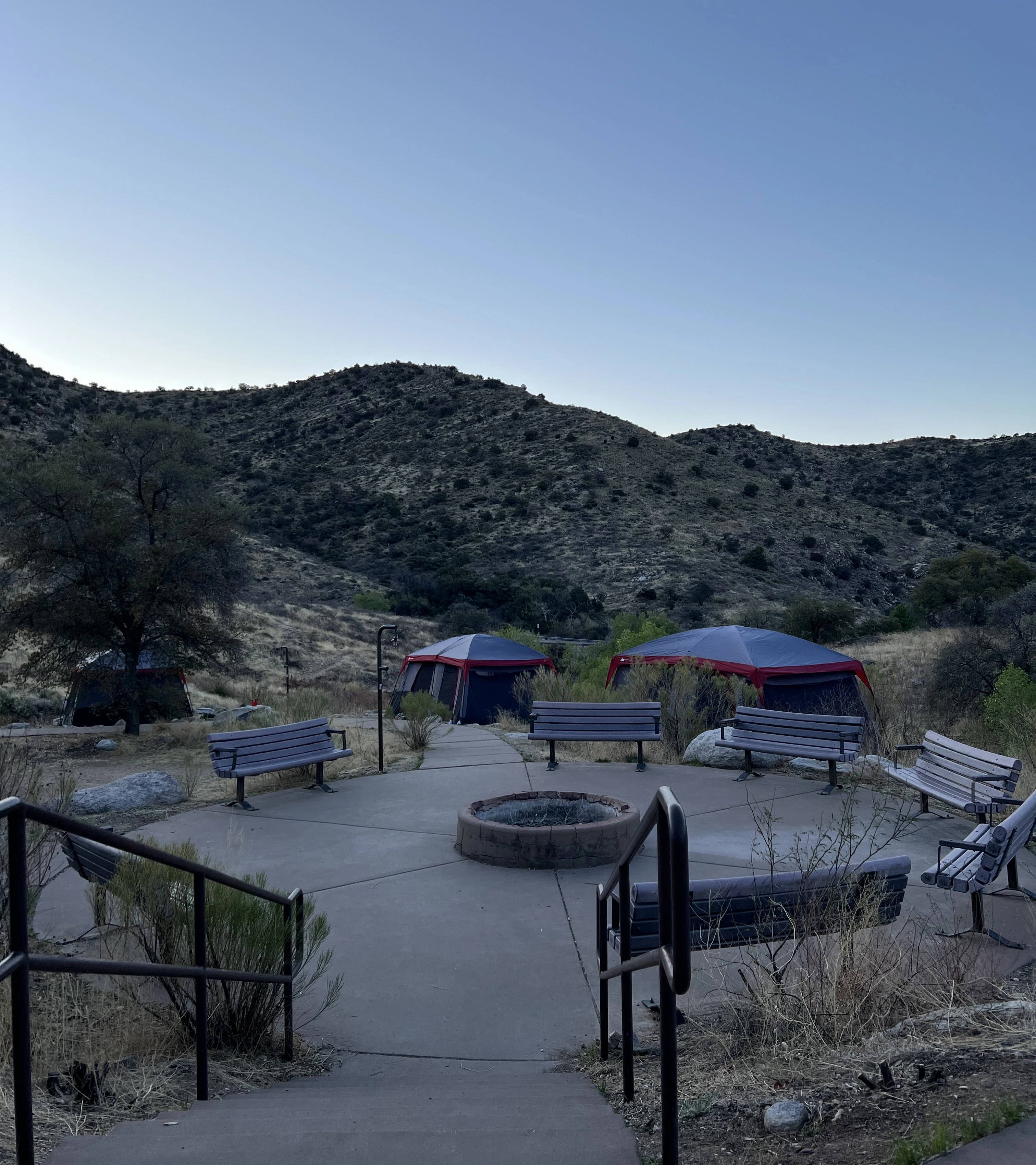 Ryenne Belt & Camp Wildcat