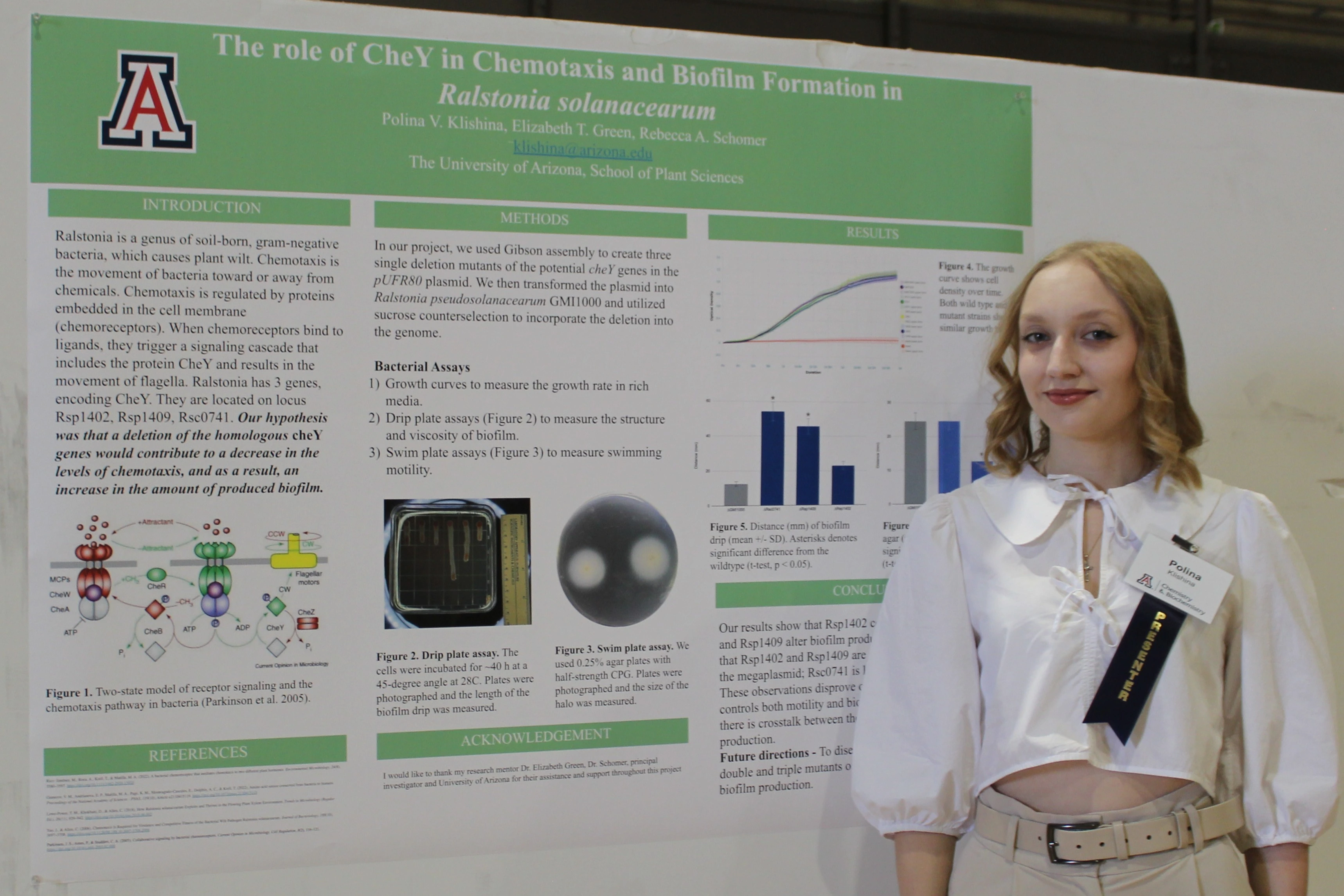 Photos from 2026 Poster Fair