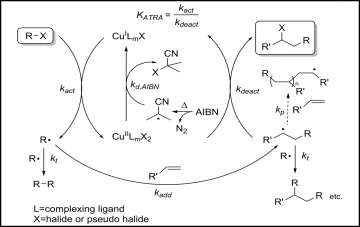 Proposed reaction mechanism for copper-catalyzed atom transfer radical addition (ATRA) reactions