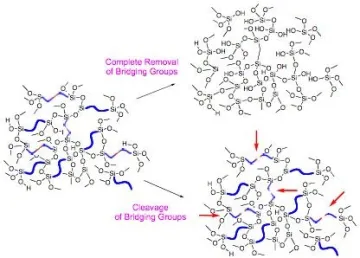 Bridging groups in hybrid sol-gel processed materials serve as convenient templates that can be removed completely by oxidation or partially through chemical reactions