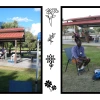 Photo collage from CBC-ACS Pinic on 12th September 2025